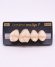 NEO LIGN P TOOTH POST 1G4 UPPER B1 4 pc