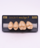 NEO LIGN P TOOTH POST 2G3 UPPER A4 4 pc