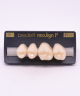 NEO LIGN P TOOTH POST 2G3 UPPER B1 4 pc