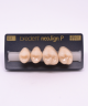 NEO LIGN P TOOTH POST 2G3 UPPER D3 4 pc