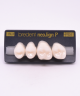 NEO LIGN P TOOTH POST 2G4 UPPER BL3 4 pc