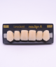 NEO LIGN A TOOTH ANT D48 UPPER A1 6 pc