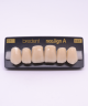 NEO LIGN A TOOTH ANT D48 UPPER C1 6 pc