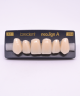 NEO LIGN A TOOTH ANT H46 UPPER A1 6 pc