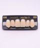 NEO LIGN A TOOTH ANT H46 UPPER B1 6 pc