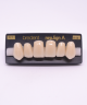 NEO LIGN A TOOTH ANT H46 UPPER C1 6 pc