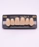 NEO LIGN A TOOTH ANT H46 UPPER C2 6 pc