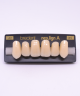 NEO LIGN A TOOTH ANT I45 UPPER A2 6 pc