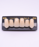 NEO LIGN A TOOTH ANT I47 UPPER A1 6 pc