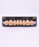 NEO LIGN P TOOTH POST WL4 UPPER A3.5 8 pc