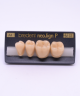 NEO LIGN P TOOTH POST 3G3 LOWER A4 4 pc