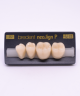 NEO LIGN P TOOTH POST 3G3 LOWER D2 4 pc