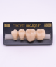 NEO LIGN P TOOTH POST 3G3 LOWER D3 4 pc