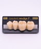 NEO LIGN P TOOTH POST 3G4 LOWER A3 4 pc