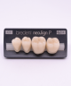 NEO LIGN P TOOTH POST 3G4 LOWER C1 4 pc