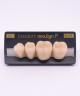 NEO LIGN P TOOTH POST 3G4 LOWER C20 4 pc