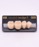 NEO LIGN P TOOTH POST 4G3 LOWER A2 4 pc