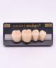 NEO LIGN P TOOTH POST 4G3 LOWER B2 4 pc