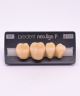 NEO LIGN P TOOTH POST 4G3 LOWER B4 4 pc