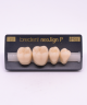 NEO LIGN P TOOTH POST 4G3 LOWER C2 4 pc