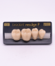 NEO LIGN P TOOTH POST 4G3 LOWER C3 4 pc