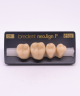 NEO LIGN P TOOTH POST 4G3 LOWER C4 4 pc