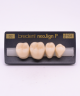 NEO LIGN P TOOTH POST 4G3 LOWER D2 4 pc