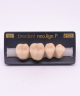 NEO LIGN P TOOTH POST 4G3 LOWER D3 4 pc