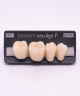 NEO LIGN P TOOTH POST 4G4 LOWER A1 4 pc