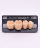 NEO LIGN P TOOTH POST 4G4 LOWER A3.5 4 pc