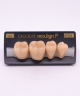 NEO LIGN P TOOTH POST 4G4 LOWER A4 4 pc