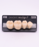 NEO LIGN P TOOTH POST 4G4 LOWER B2 4 pc