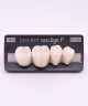 NEO LIGN P TOOTH POST 4G4 LOWER BL3 4 pc