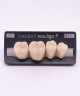 NEO LIGN P TOOTH POST 4G4 LOWER C1 4 pc