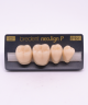 NEO LIGN P TOOTH POST 4G4 LOWER C2 4 pc
