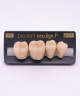 NEO LIGN P TOOTH POST 4G4 LOWER C3 4 pc