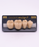 NEO LIGN P TOOTH POST 4G4 LOWER C4 4 pc