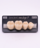 NEO LIGN P TOOTH POST 4G4 LOWER D2 4 pc