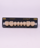 NEO LIGN P TOOTH POST WL3 LOWER D3 8 pc