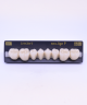 NEO LIGN P TOOTH POST WL4 LOWER A1 8 pc