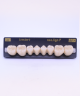 NEO LIGN P TOOTH POST WL4 LOWER A2 8 pc