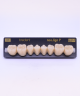 NEO LIGN P TOOTH POST WL4 LOWER A3 8 pc
