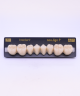 NEO LIGN P TOOTH POST WL4 LOWER B2 8 pc