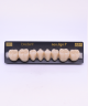 NEO LIGN P TOOTH POST WL4 LOWER C2 8 pc