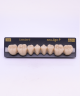 NEO LIGN P TOOTH POST WL4 LOWER C3 8 pc