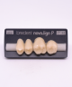 NOVO LIGN P VENEER POST 2W3 UPPER A3.5 4 pc