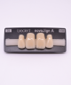 NOVO LIGN A VENEER ANT M48 UPPER D3 4 pc