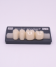 NOVO LIGN P VENEER POST G3 LOWER B1 4 pc