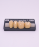 NOVO LIGN P VENEER POST G3 LOWER B4 4 pc