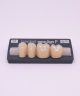 NOVO LIGN P VENEER POST G3 LOWER C2 4 pc